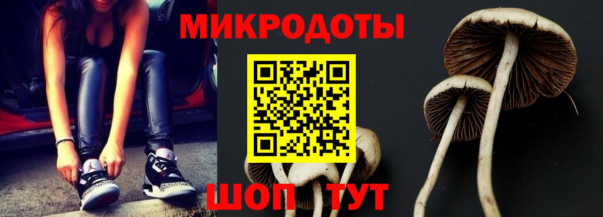 Мурманск  Псилоцибиновые грибы MAGIC MUSHROOMS  Вход с VPN 